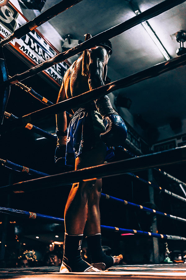 boxer